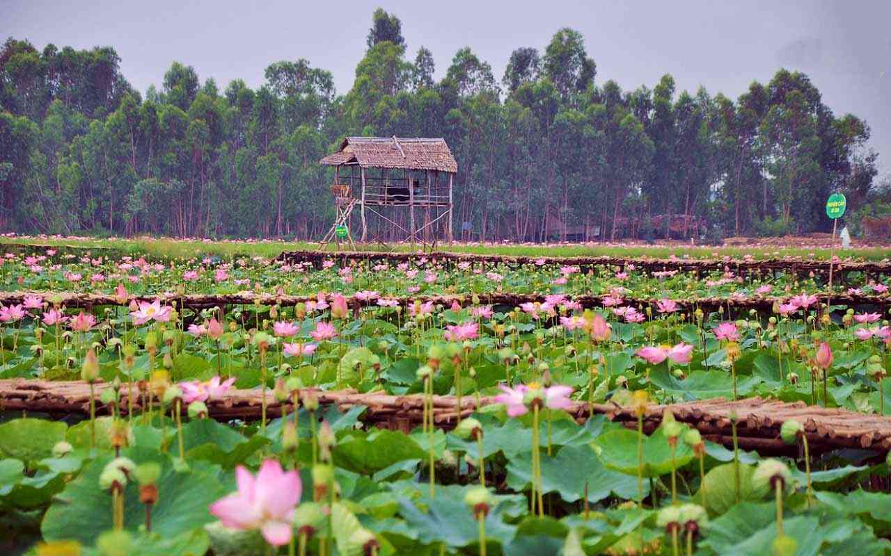 tháng 11 nên đi du lịch ở đâu